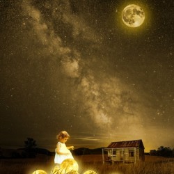 The Moonlight Guardian
